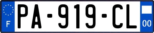 PA-919-CL