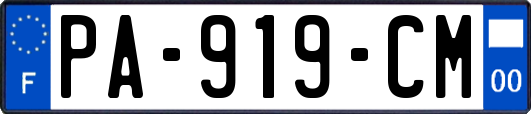 PA-919-CM