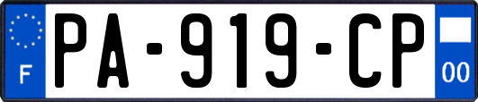 PA-919-CP