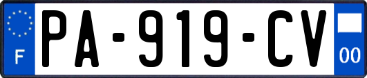 PA-919-CV