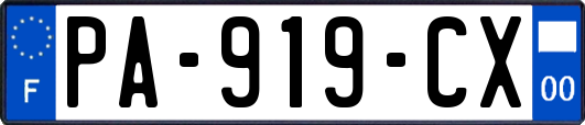 PA-919-CX