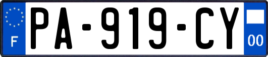 PA-919-CY