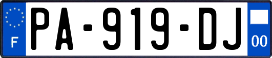 PA-919-DJ