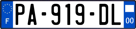PA-919-DL