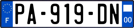PA-919-DN