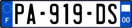PA-919-DS