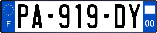 PA-919-DY