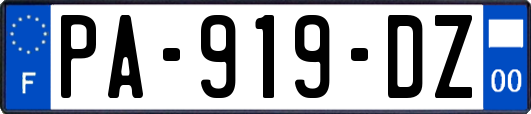 PA-919-DZ