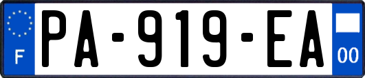 PA-919-EA