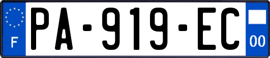 PA-919-EC