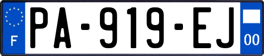PA-919-EJ