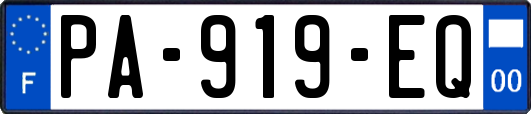 PA-919-EQ