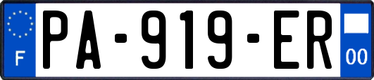 PA-919-ER