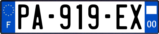 PA-919-EX