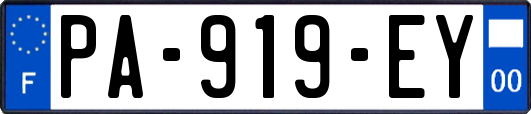 PA-919-EY