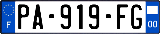 PA-919-FG