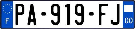 PA-919-FJ