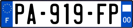 PA-919-FP