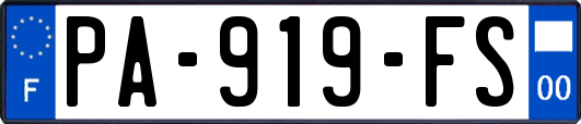 PA-919-FS