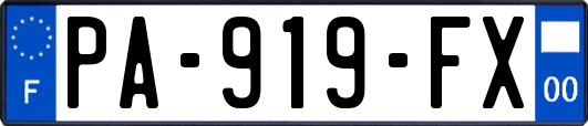 PA-919-FX