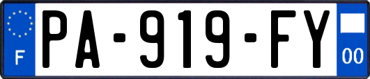 PA-919-FY