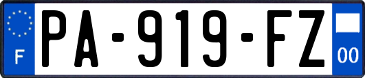PA-919-FZ