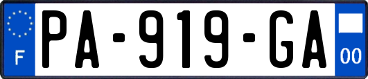 PA-919-GA