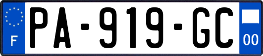 PA-919-GC
