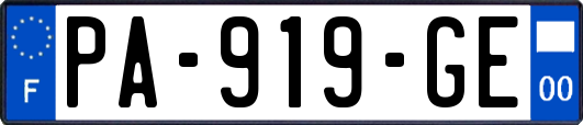 PA-919-GE