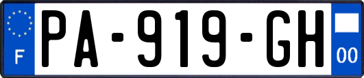 PA-919-GH