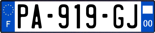 PA-919-GJ