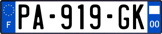 PA-919-GK