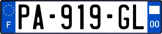 PA-919-GL