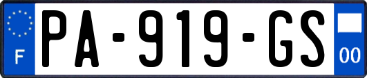 PA-919-GS