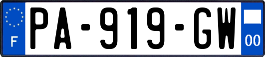 PA-919-GW