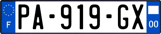 PA-919-GX