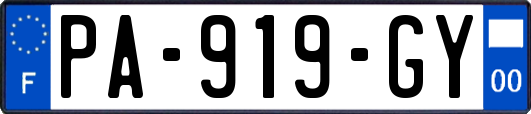 PA-919-GY
