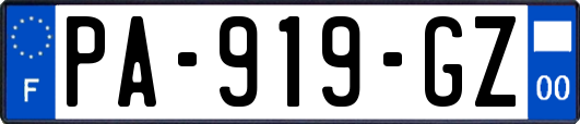PA-919-GZ