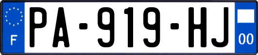 PA-919-HJ