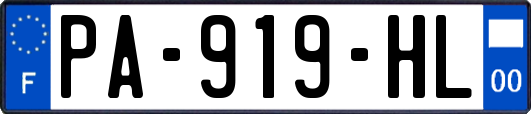 PA-919-HL