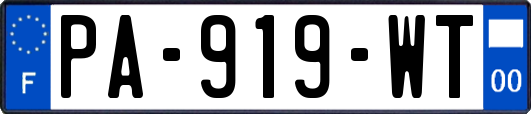 PA-919-WT