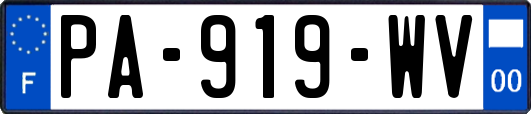 PA-919-WV