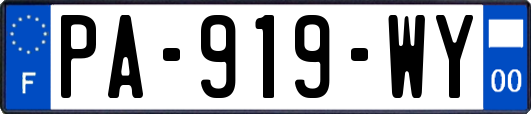 PA-919-WY