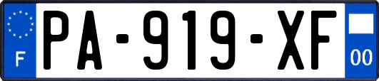 PA-919-XF