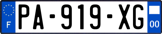 PA-919-XG