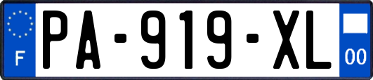 PA-919-XL