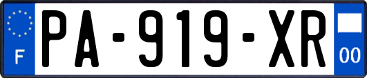 PA-919-XR