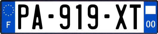PA-919-XT