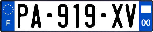 PA-919-XV