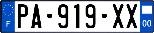 PA-919-XX